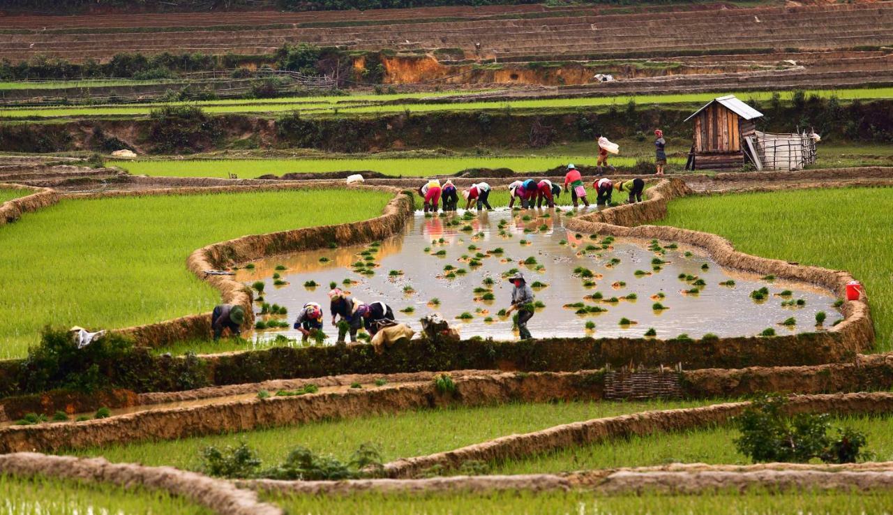 Nam San木仓柴生态旅馆别墅 外观 照片