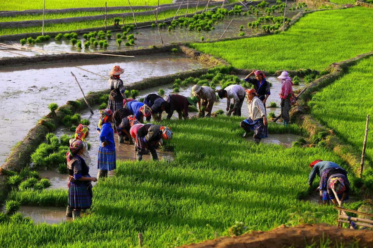 Nam San木仓柴生态旅馆别墅 外观 照片